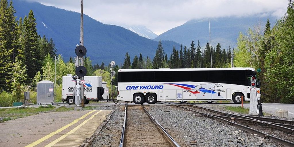 From IT Developer To Leader: My 25-Year Journey At Greyhound