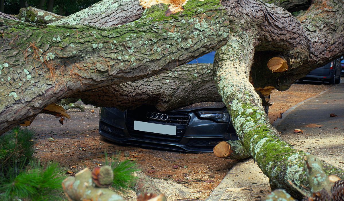 Cheapest AZ Car Insurance
